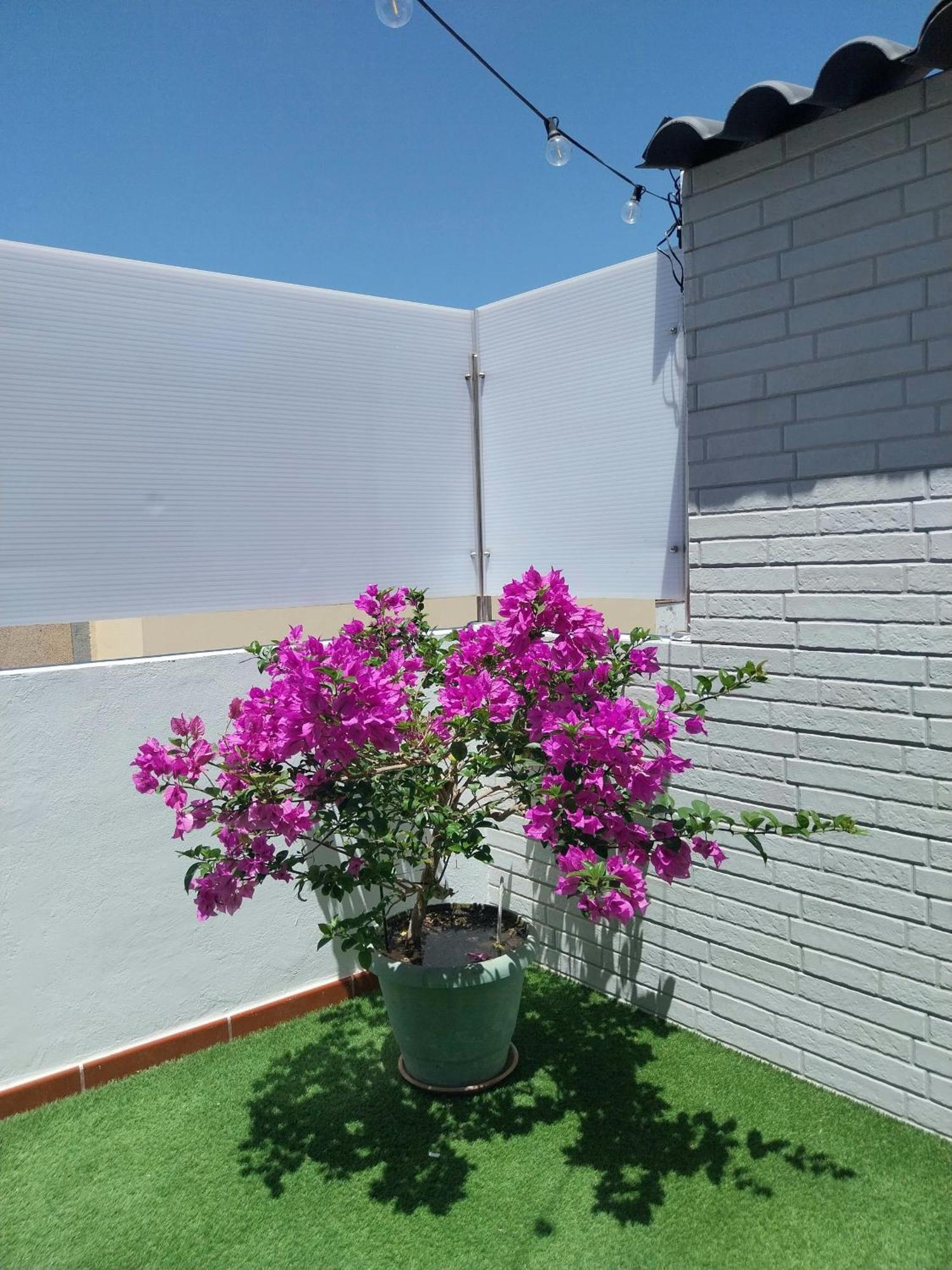 Appartamento Roque'S House Telde Esterno foto
